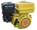 LIANLONG LL 168F1 - 137011 Κινητήρας βενζίνης 6.5hp με βόλτα