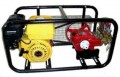 INTERPOWER 22A - 5981 / 101 Ψεκαστικό Συγκρότημα Βενζίνης 6,5